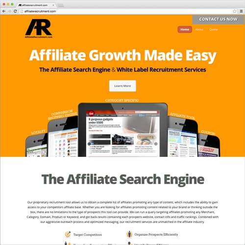 website picture affiliaterecruitment.com domain reviews